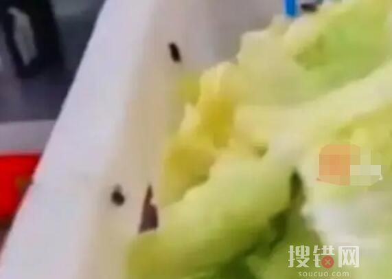 中学食堂后厨爬满苍蝇 教育局回应 画面曝光简直不忍直视