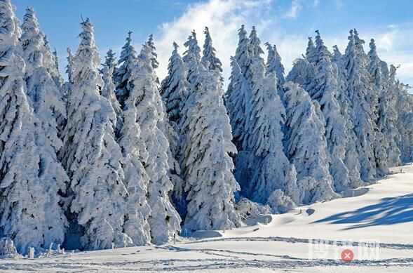 辽宁多地大雪 积雪深处没过脚踝 出现大面积降温