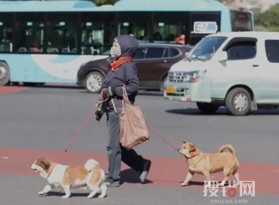 这个冬天会出现极端寒潮吗? 背后真相实在让人惊愕