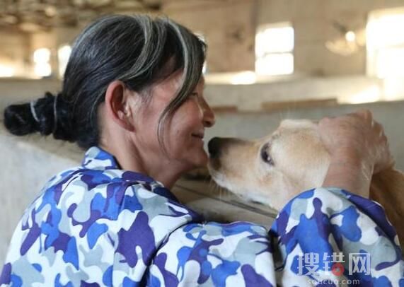 老人救狗20年 欠60万卖房住亲戚家 始料未及真相简直太感人了