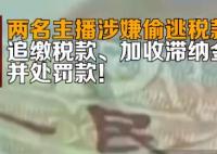 两名主播涉嫌偷逃税款被罚 原因竟是这样实在让人惊呆了