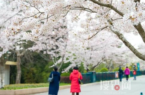 大学校门,该打开了 到底是什么情况?