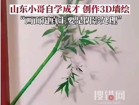 男子自学3D墙绘三年 手绘的绿植栩栩如生