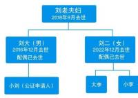 独生女继承父亲房产 表兄妹也有份? 真相揭露简直让人傻眼了