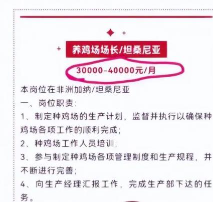 月薪4万招人去非洲养鸡?企业回应 月薪为何这么高?