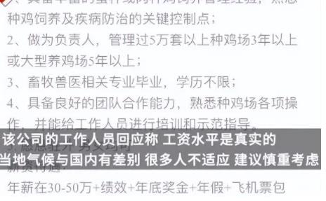 月薪4万招人去非洲养鸡?企业回应 这真相直接让人傻眼