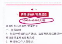 月薪4万招人去非洲养鸡?企业回应 条件艰辛符合的人不多