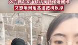 女子算命核桃树挡姻缘家人将树砍掉 原因揭秘直接让人傻眼