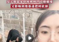 女子算命核桃树挡姻缘家人将树砍掉 原因揭秘直接让人傻眼