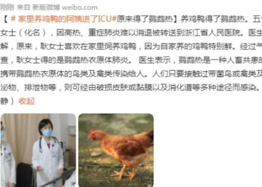 女子喜欢养鸡鸭患鹦鹉热住进ICU 背后真相曝光简直太惊人了