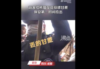 游客给花花投喂甘蔗保安捡出 具体事件经过是什么?