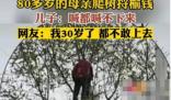 80多岁老太爬树摘榆钱 喊都喊不下来 原因太出乎意料了