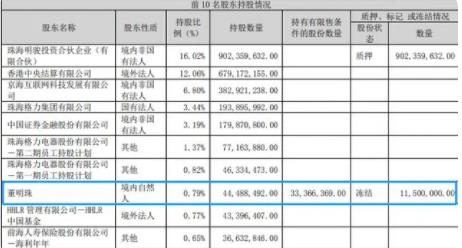 董明珠遭冻结股份市值约4亿 真相曝光简直太惊人了