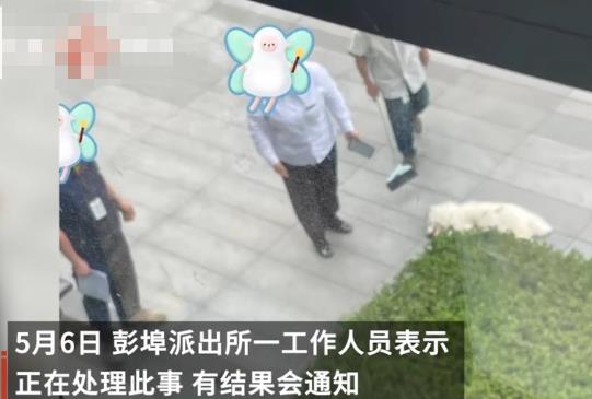 派出所回应杭州高空扔狗事件 真相曝光简直太惊人了