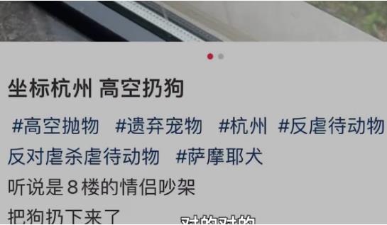 派出所回应杭州高空扔狗事件 真相曝光简直太惊人了