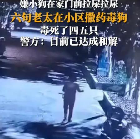 女子疑在小区内撒药致多条狗死亡 到底是什么情况?