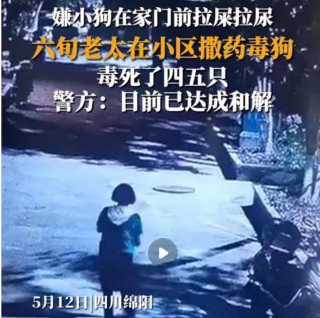 女子疑在小区内撒药致多条狗死亡 真相曝光简直太惊人了