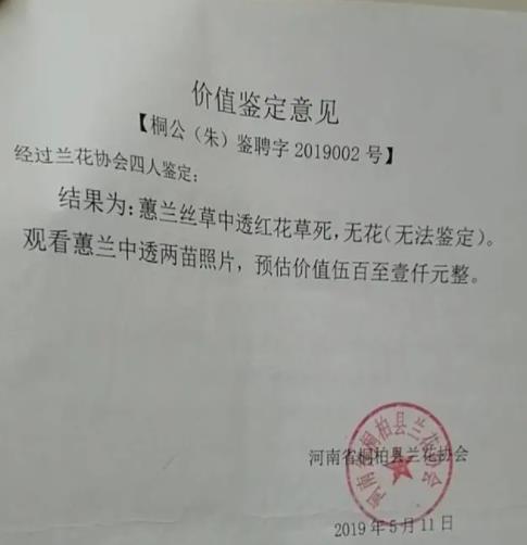 农妇掐走两枝兰花被判三缓四 到底是什么情况?