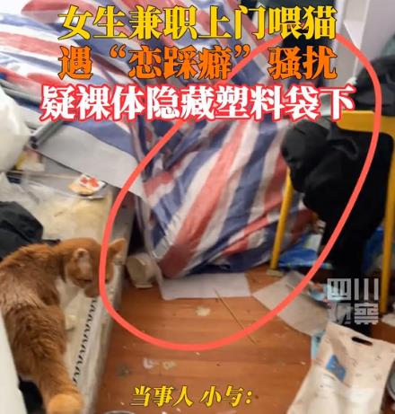 女生兼职上门喂猫遭恋踩癖骚扰 真相太荒唐实在是毁三观