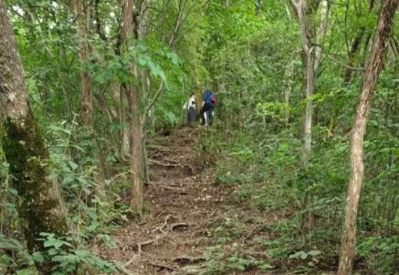 驴友爬山遭雷击:直挺倒下全身麻木 真相曝光简直太惊人了