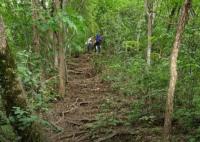 驴友爬山遭雷击:直挺倒下全身麻木 原因竟是这样实在是太意外了