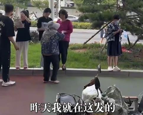 开考前大妈在考点发复读广告 给学生和家长带来反感