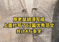 清朝作弊衣上用老鼠须抄了4万多字 背后真相让人震惊