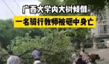 校方回应教师被树砸中身亡 真相曝光简直太惊人了