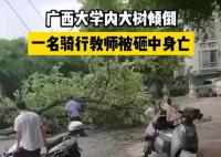 校方回应教师被树砸中身亡 真相曝光简直太惊人了