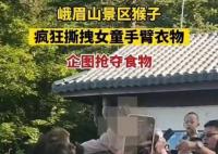 女童被峨眉山猴子撕拽抢夺食物 真相曝光简直太惊人了