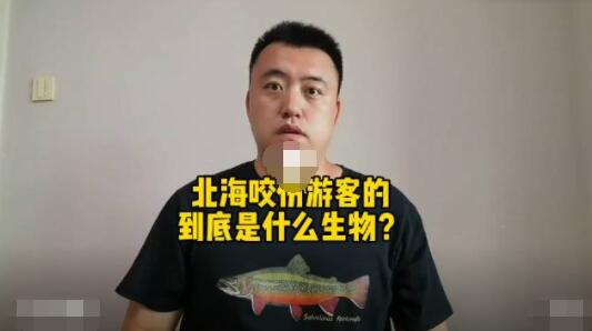 科普博主谈北海咬伤游客事件 真相到底是什么?