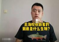 科普博主谈北海咬伤游客事件 真相到底是什么?