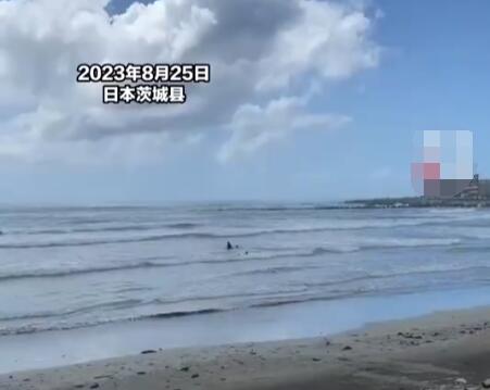 核污水排海后日本人在海里游泳 原因揭秘直接让人傻眼了