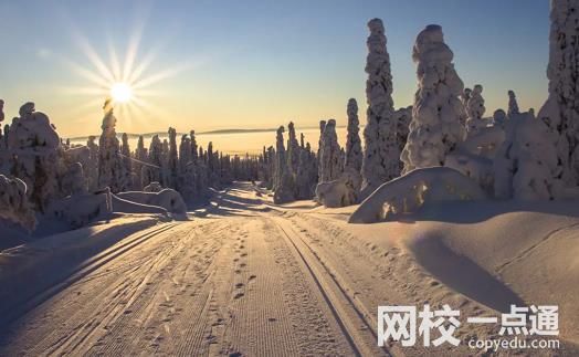 南京森林警察学院录取分数线2024(今年高考所有分数线一览表参考)