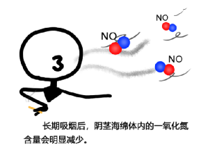 男性吸烟会影响性功能？